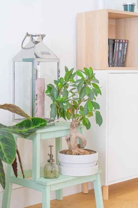Bel Appart Climatise A 5 Min Plage Des Catalans Apartment Marseille Ngoại thất bức ảnh